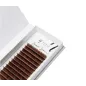 Sztuczne Rzęsy Brązowe Brown Line Noble Lashes C 0.05 6-13 Mm
