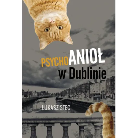 PSYCHOANIOŁ W DUBLINIE Łukasz Stec - Akurat