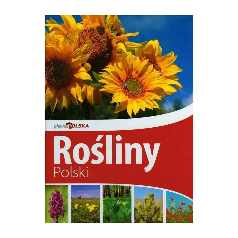 ROŚLINY POLSKI. PIĘKNA POLSKA