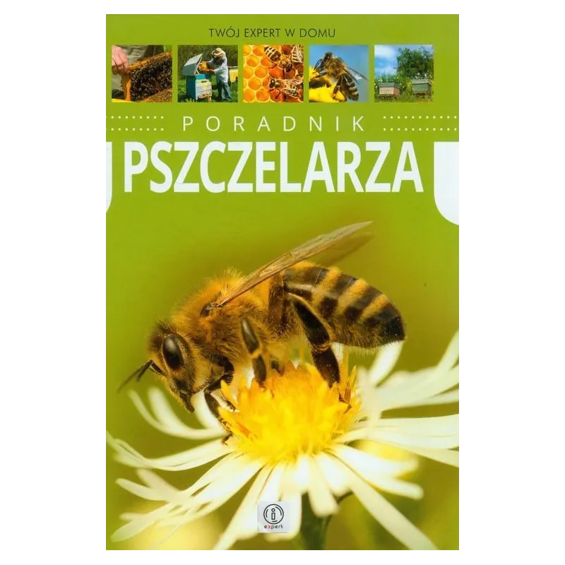Praca Zbiorowa