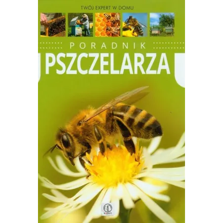 Praca Zbiorowa