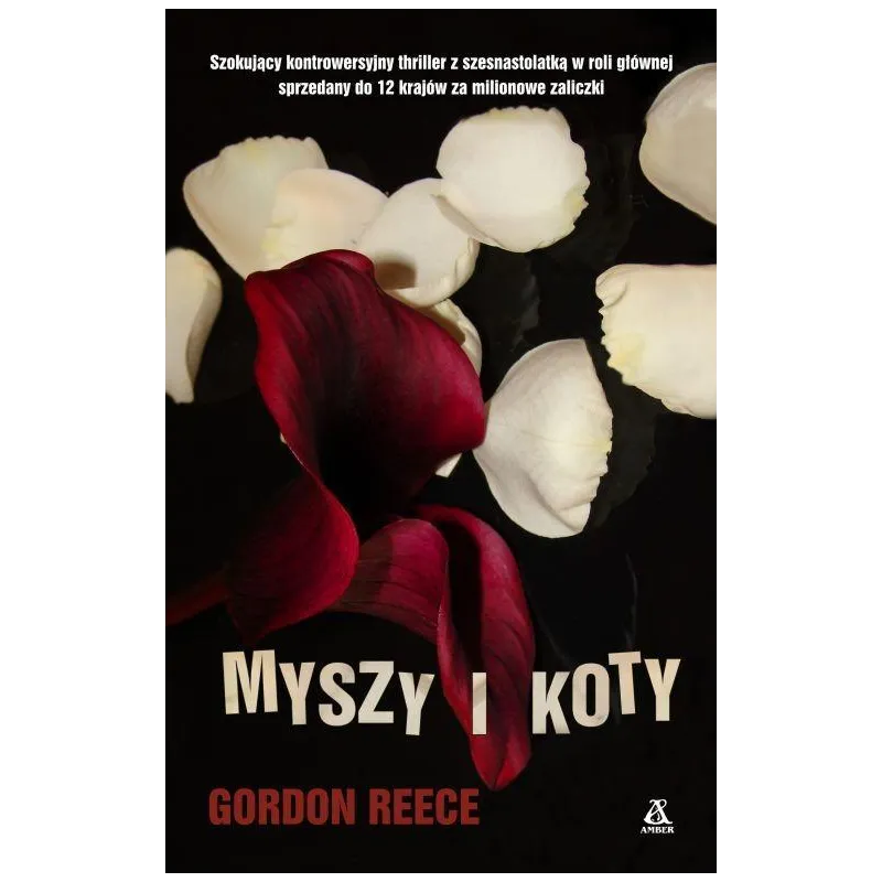 MYSZY I KOTY MYSZY I KOTY