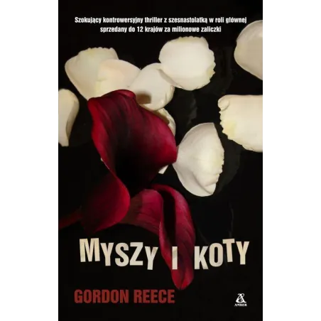 Myszy I Koty Myszy I Koty