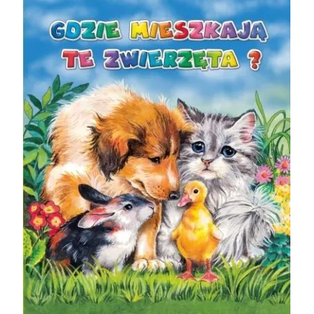 Gdzie Mieszkają Te Zwierzęta?
