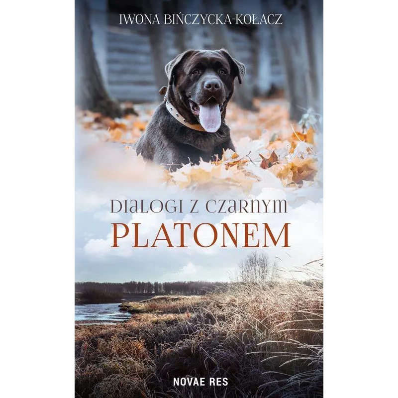 Iwona Bińczycka-Kołacz