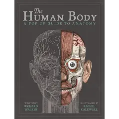 HUMAN BODY