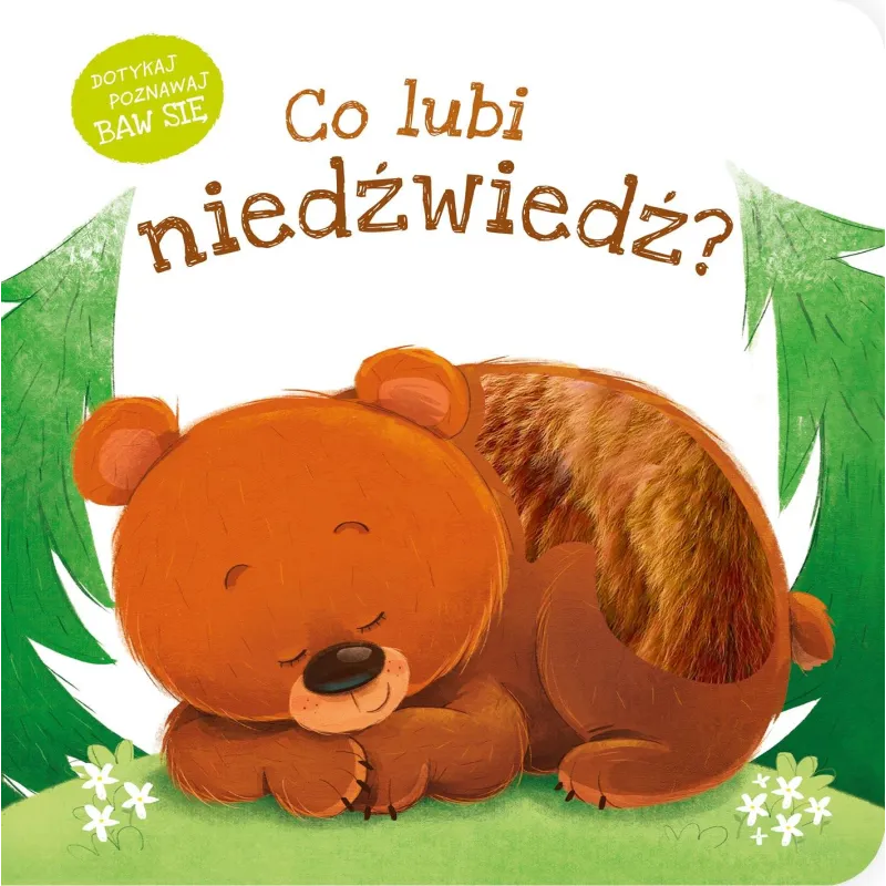 Co lubi niedźwiedź Co lubi