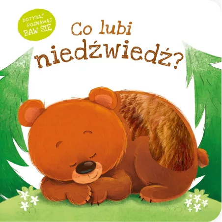 Co lubi niedźwiedź Co lubi