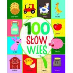 100 SŁÓW. WIEŚ