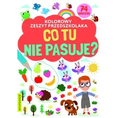 Co tu nie pasuje Kolorowy zeszyt przedszkolaka