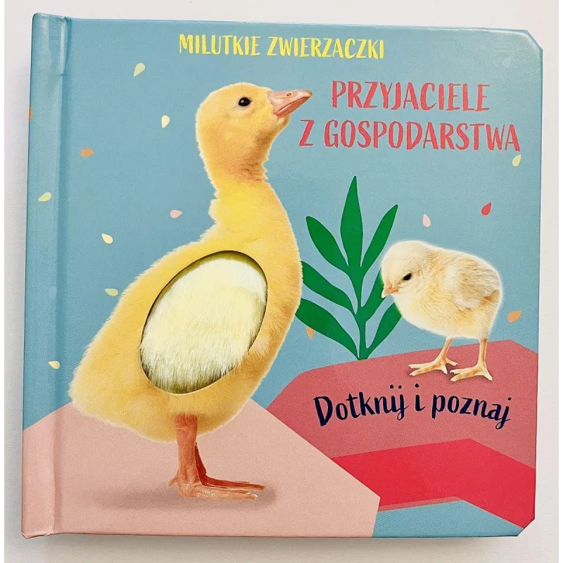 Opracowanie zbiorowe