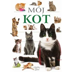 MÓJ KOT