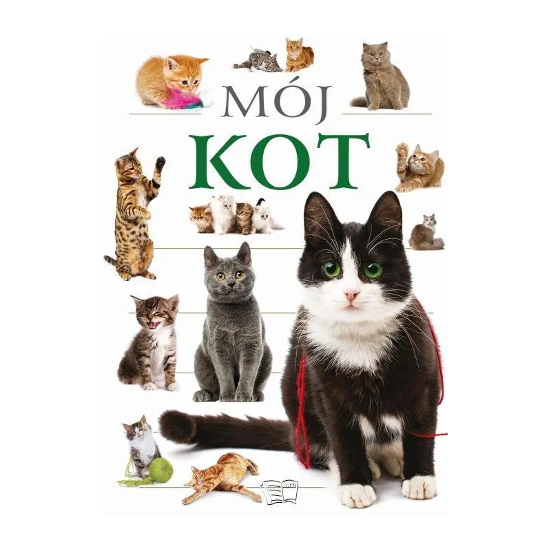 MÓJ KOT