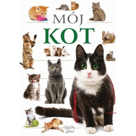 MÓJ KOT
