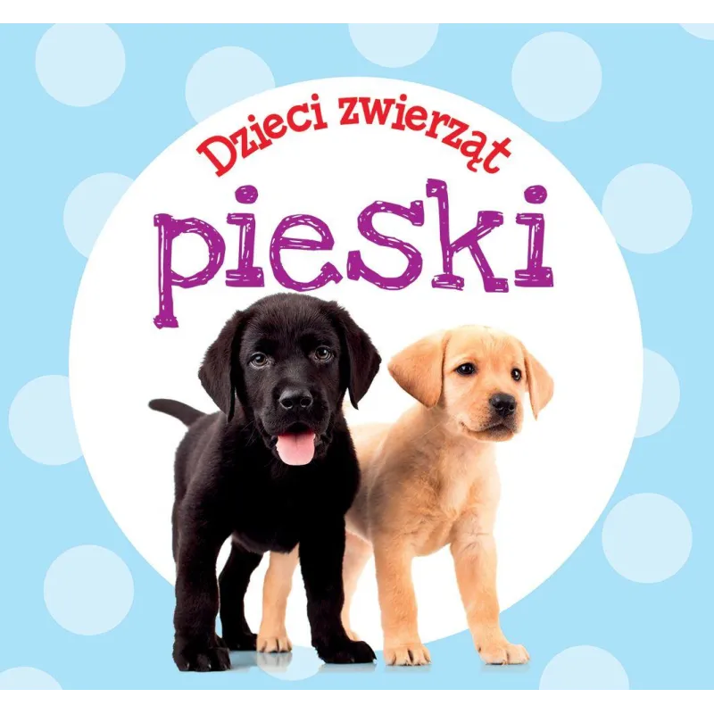 DZIECI ZWIERZĄT. PIESKI