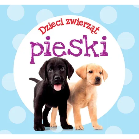 DZIECI ZWIERZĄT. PIESKI