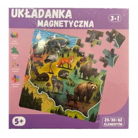 Układanka Magnetyczna 3W1. 25/30/42 Elementy 5+