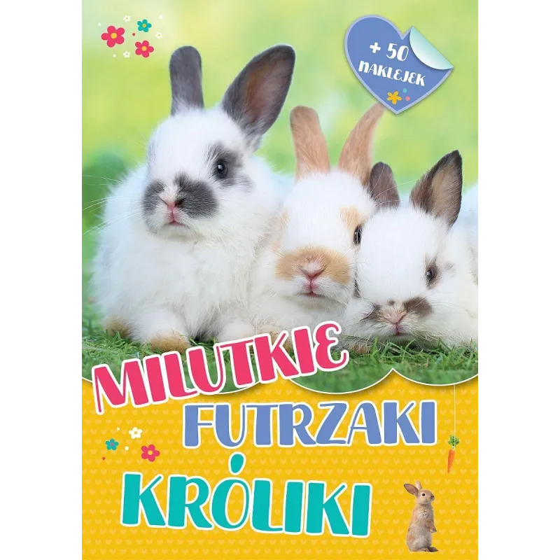 Opracowanie zbiorowe Opracowanie zbiorowe