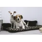 Legowisko Mata Wodoodporna Dla Psa Brąz W Łapy Xl 130 X 90 Cm Myanimaly Legowisko Mata Wodoodporna Dla Psa Brąz W Łapy Xl 130 X 90 Cm Myanimaly
