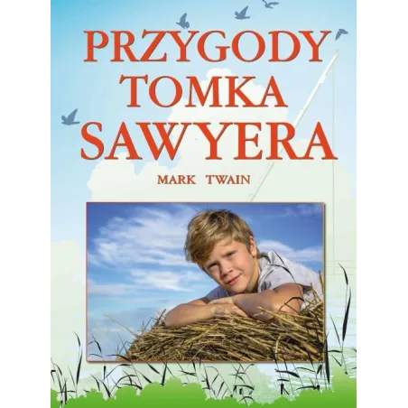 PRZYGODY TOMKA SAWYERA Mark Twain - Arti