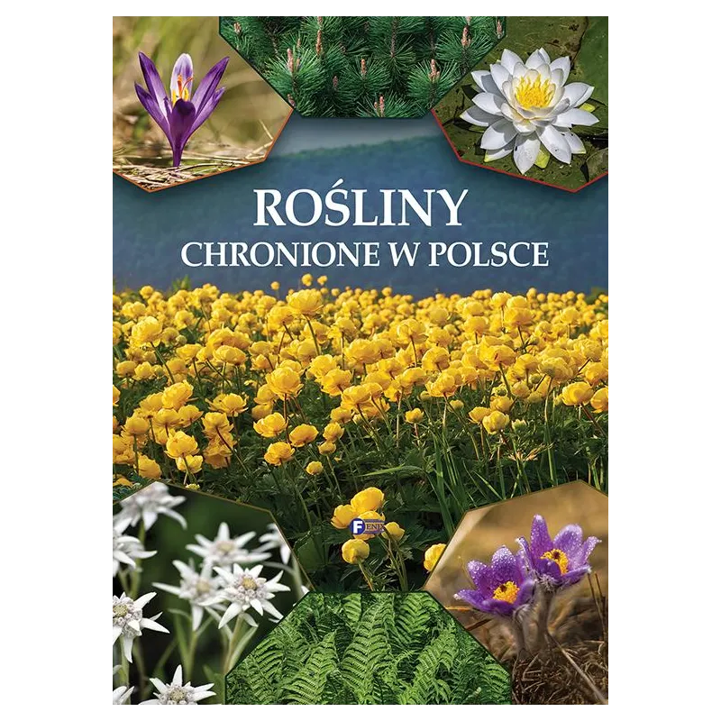 ROŚLINY CHRONIONE W POLSCE