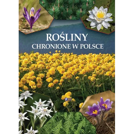 Rośliny Chronione W Polsce