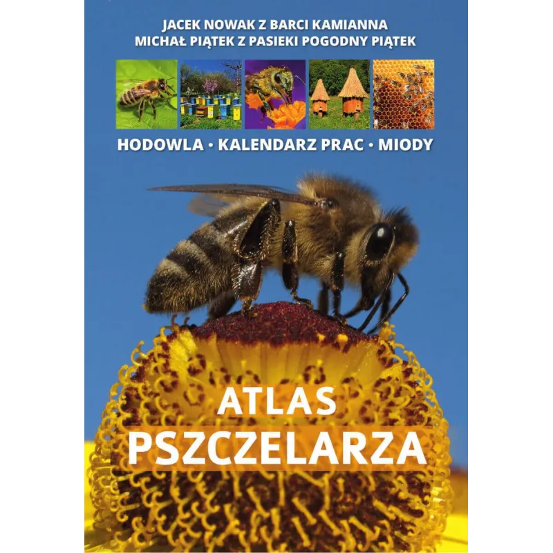 Jacek Nowak,Michał Piątek