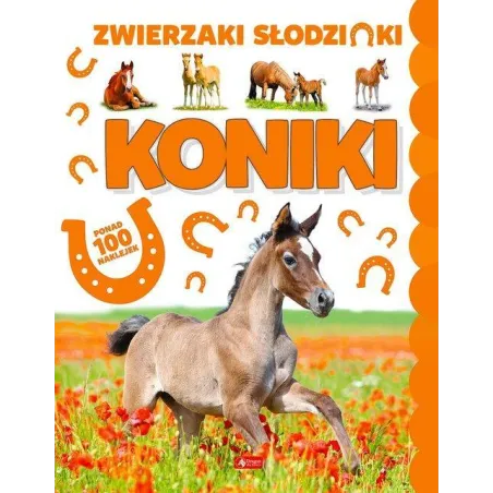 Koniki Zwierzaki Słodziaki Ponad 100 Naklejek