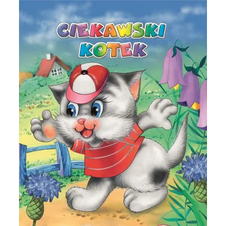 CIEKAWSKI KOTEK
