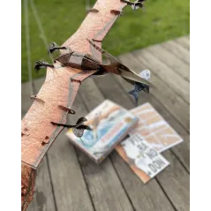 Pteranodon Książka I Model 3D Dinozaura Do Złożenia 6+