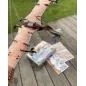 Pteranodon Książka I Model 3D Dinozaura Do Złożenia 6+