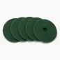 Pad Czyszczący Zielony Diversey Taski Americo 17" 432 Mm Do Szorowania Posadzek Pad Czyszczący Zielony Diversey Taski Americo 17" 432 Mm Do Szorowania Posadzek