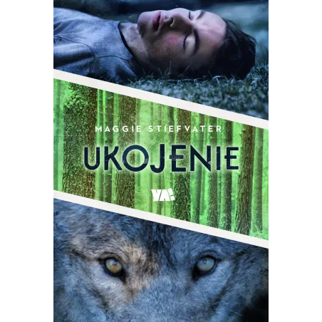 UKOJENIE DRŻENIE TOM 3 Maggie Stiefvater