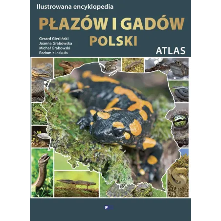 ILUSTROWANA ENCYKLOPEDIA PŁAZÓW I GADÓW POLSKI ATLAS - Fenix