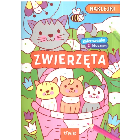 ZWIERZĘTA KOLOROWANKA Z KLUCZEM - Foksal