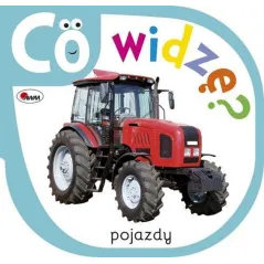 CO WIDZĘ? POJAZDY - AWM
