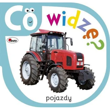 CO WIDZĘ? POJAZDY - AWM