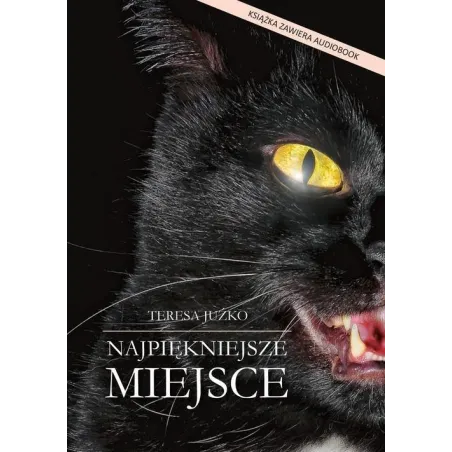NAJPIĘKNIEJSZE MIEJSCE Teresa Juźko - Poligraf