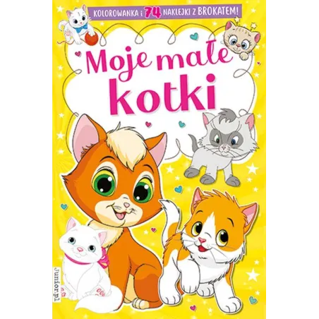 MOJE MAŁE KOTKI KOLOROWANKA - Books & Fun