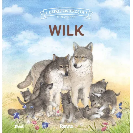 Wilk. Dzikie Zwierzęta W Naturze