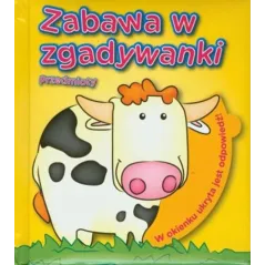 Zabawa w zgadywanki przedmioty