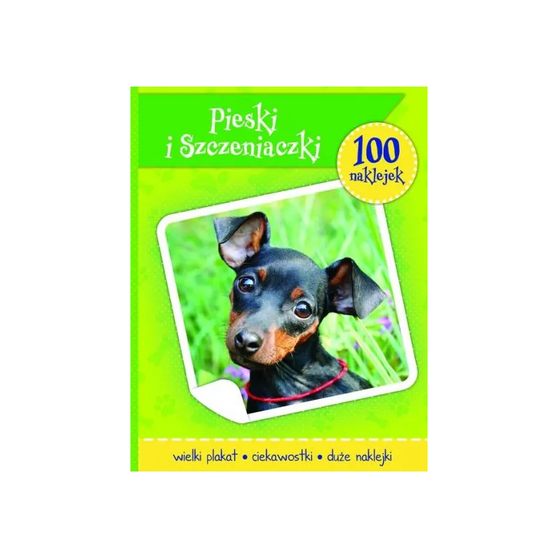 PIESKI I SZCZENIACZKI 100 NAKLEJEK - MD Creative PIESKI I SZCZENIACZKI 100 NAKLEJEK - MD Creative