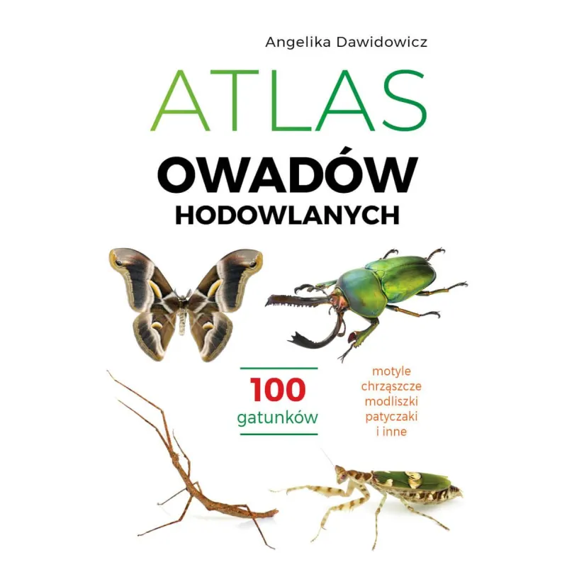 Angelika Dawidowicz Angelika Dawidowicz