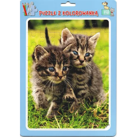 KOTY. PUZZLE W RAMCE Z KOLOROWANKĄ