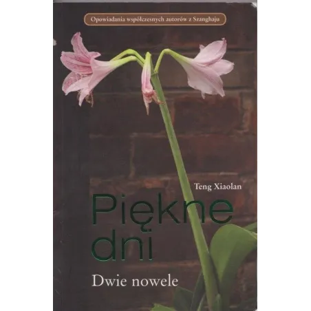 PIĘKNE DNI DWIE NOWELE Teng Xiaolan - Olesiejuk