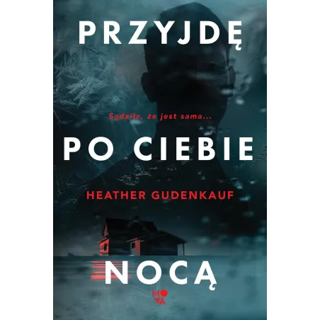 Przyjdę Po Ciebie Nocą