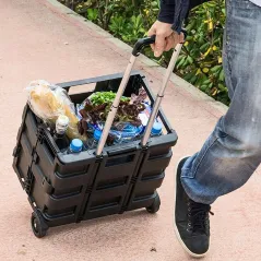 SKŁADANY WÓZEK TRANSPORTOWY NA KÓŁKACH KISTENBERG CART T KCT4040-3020