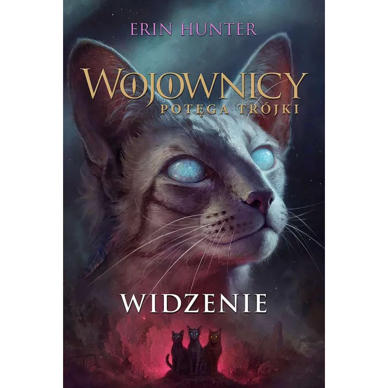 WIDZENIE. WOJOWNICY. POTĘGA TRÓJKI