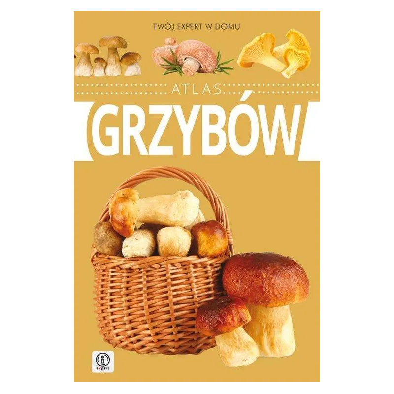 ATLAS GRZYBÓW Wiesław Kamiński - Dragon