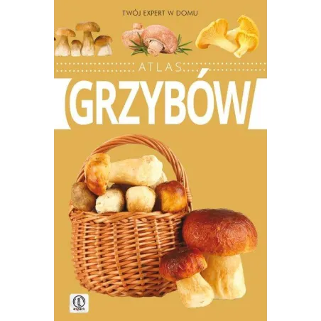 ATLAS GRZYBÓW Wiesław Kamiński - Dragon